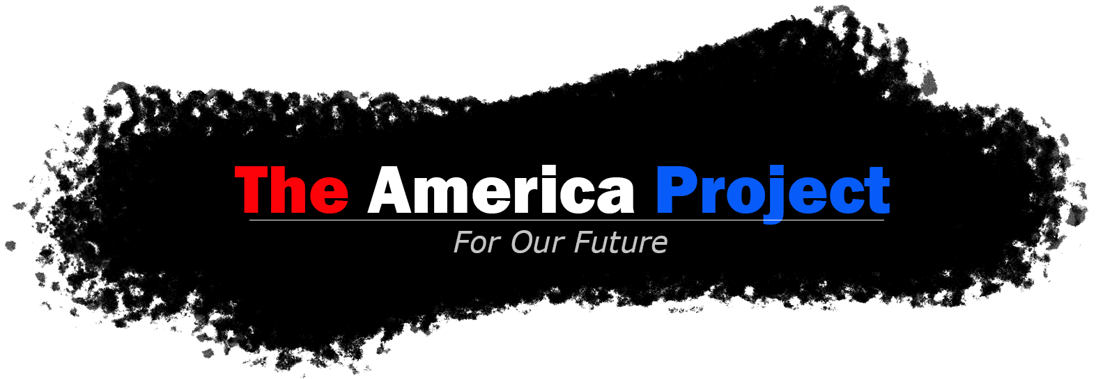 The America Project